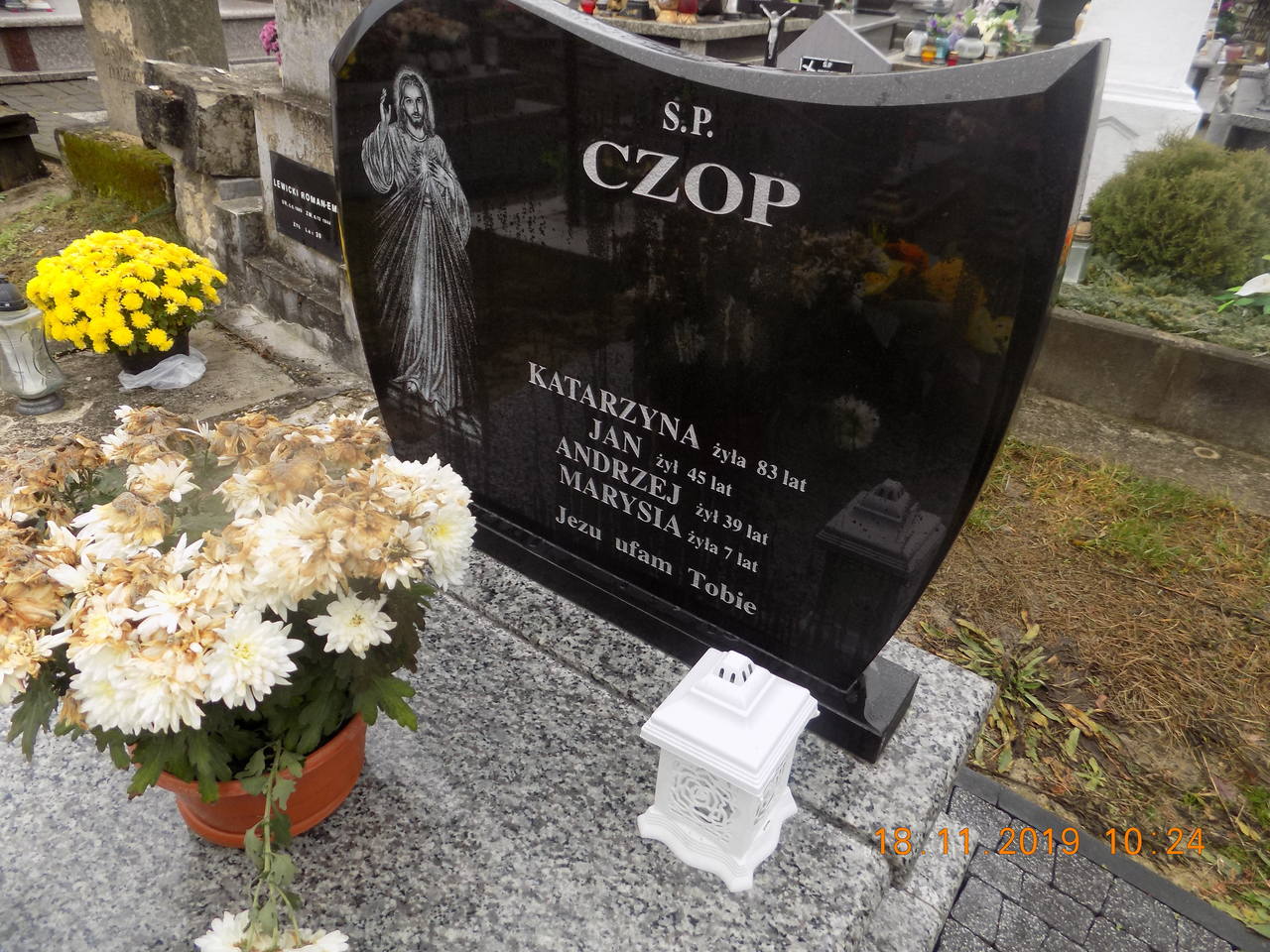 Andrzej Czop 1900 Narol - Grobonet - Wyszukiwarka osób pochowanych