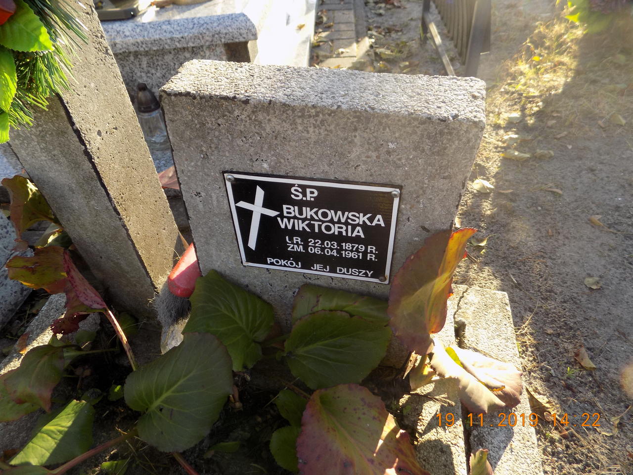 Wiktoria Bukowska 1879 Narol - Grobonet - Wyszukiwarka osób pochowanych