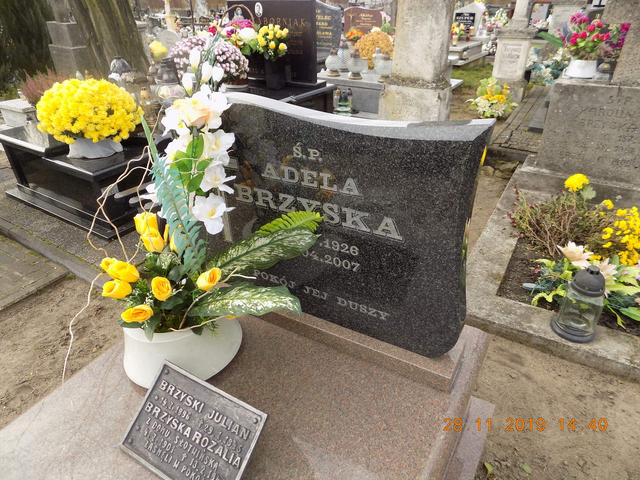 Rozalia Brzyska 1901 Narol - Grobonet - Wyszukiwarka osób pochowanych