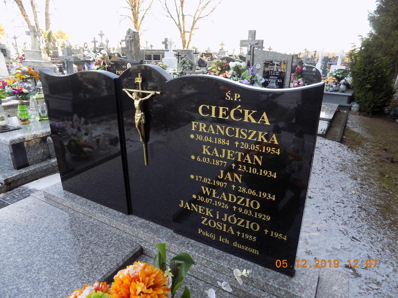 Franciszka Ciećka 1887 Narol - Grobonet - Wyszukiwarka osób pochowanych