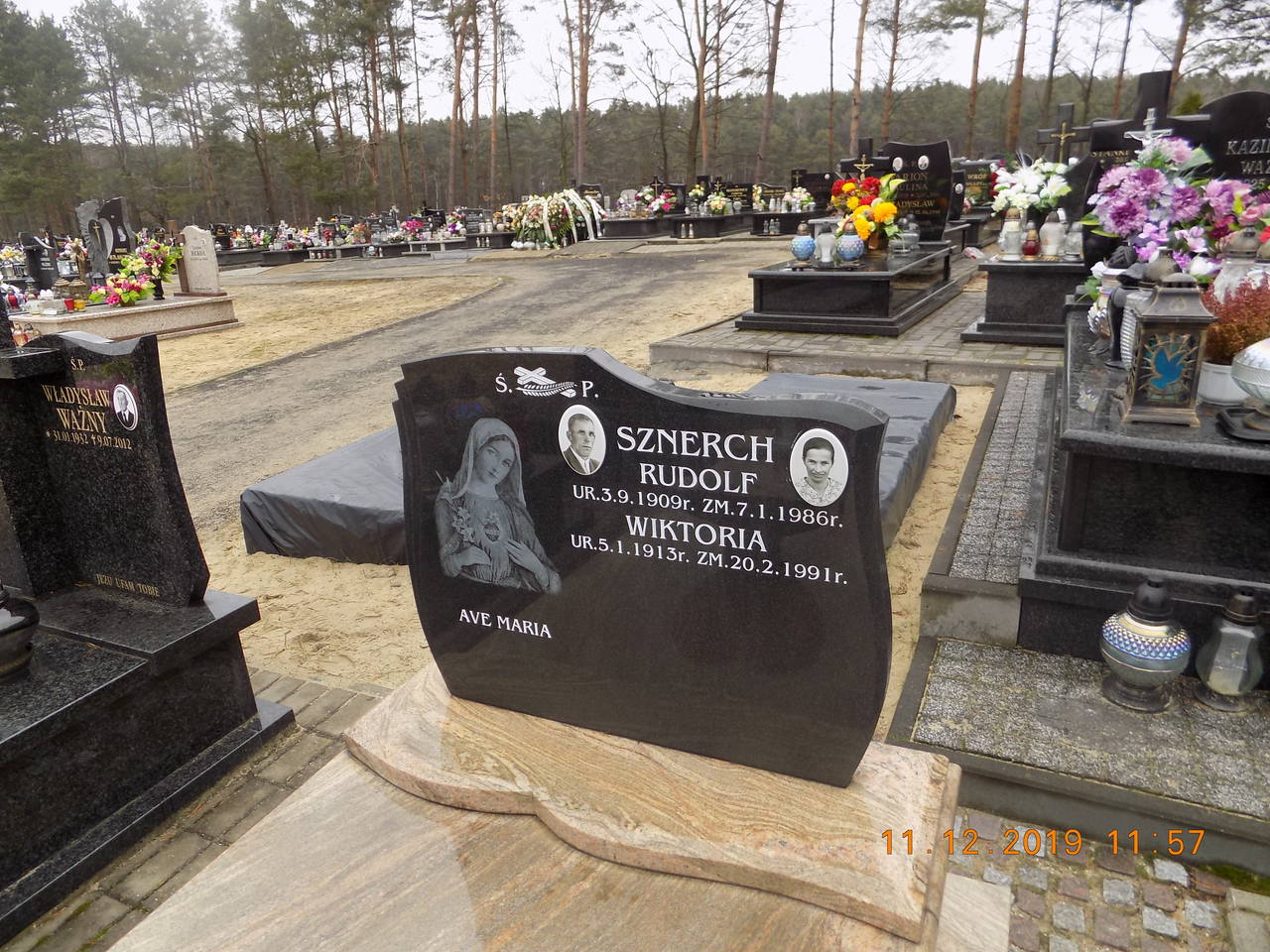 Wiktoria Sznerch 1913 Narol - Grobonet - Wyszukiwarka osób pochowanych