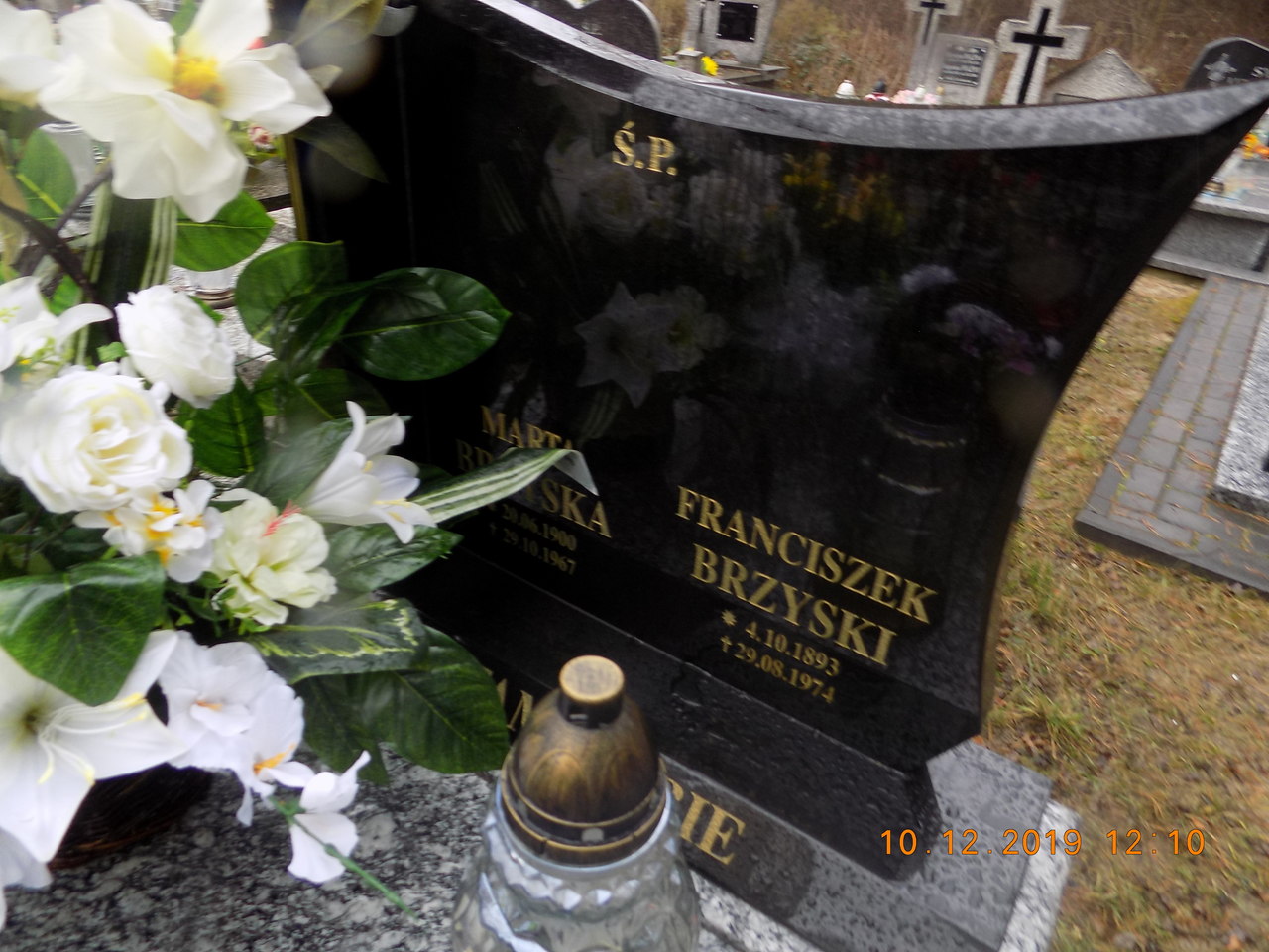 Marta Brzyska 1900 Narol - Grobonet - Wyszukiwarka osób pochowanych