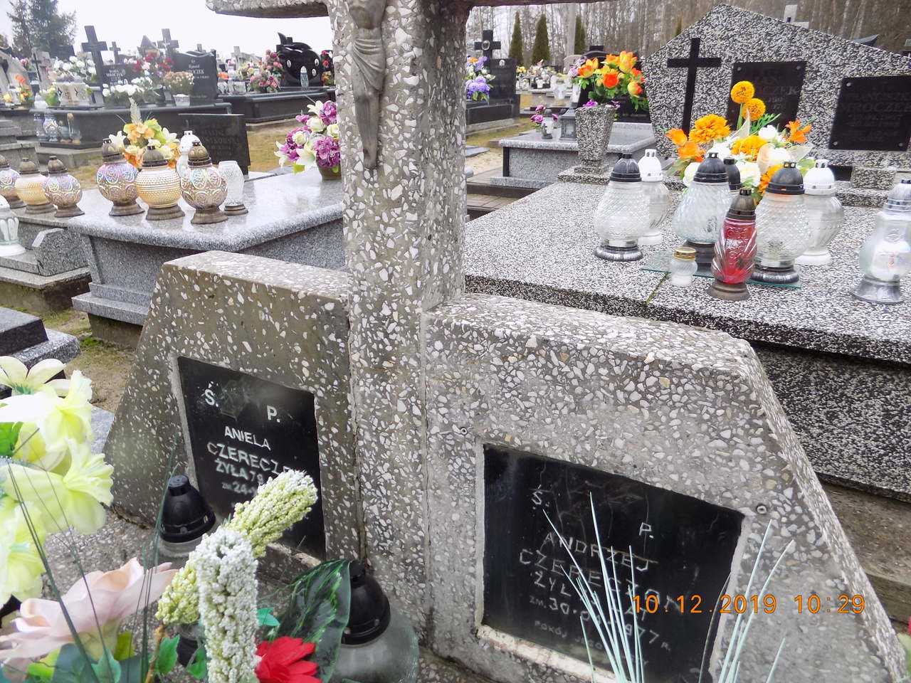 Aniela Czereczon Narol - Grobonet - Wyszukiwarka osób pochowanych