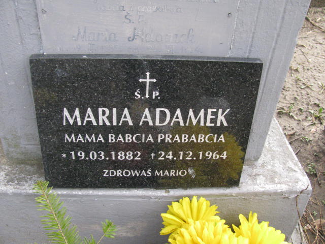 Maria Adamek 1882 Narol - Grobonet - Wyszukiwarka osób pochowanych