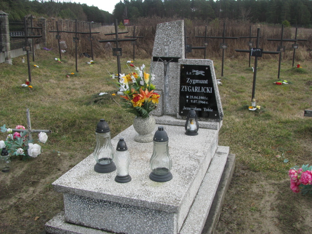 Grób Zygmunt Zygarlicki