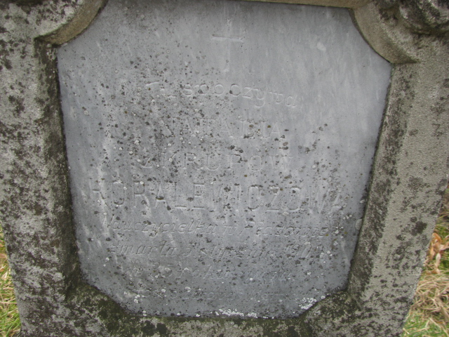 Natalia Koralewiczowa Narol - Grobonet - Wyszukiwarka osób pochowanych