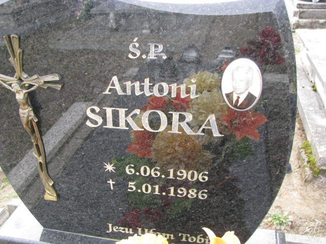 Antoni Sikora 1906 Narol - Grobonet - Wyszukiwarka osób pochowanych